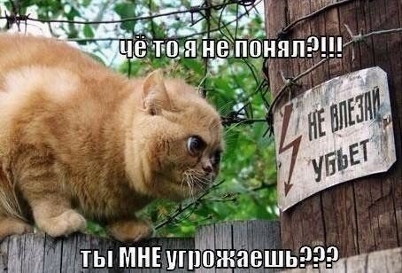 �������������� �� ���� �������� <a href=