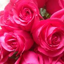 ���� �������, ������ - ��������� 22 ������ 2014 � ������ �����ۻ