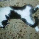 ���� ��������, ��������� - ��������� 7 ������ 2014 � ������ ���� ����������