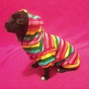 ���� �����, ��������������� - ��������� 4 ������� 2014