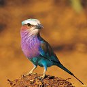 ���� �����, �����������, 31 ��� - ��������� 12 ������ 2014 � ������ ���� ����������