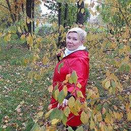 ��������� ��������, �����, 61 ���