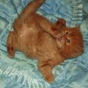 ���� �������, ���� - ��������� 23 ������� 2014 � ������ ���� ����� �����)))�