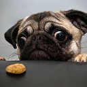 ���� ��������, ����� - ��������� 16 ������ 2014 � ������ ������ ��������