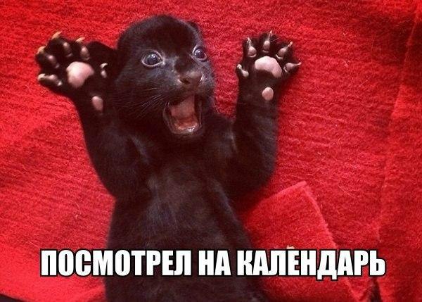    :D - 17  2014  09:19