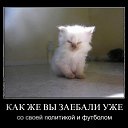 ���� ������, ���������, 43 ���� - ��������� 7 �������� 2014 � ������ ������ ��������