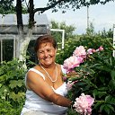 ���� ��������, ������ ��������, 68 ��� - ��������� 21 ������� 2014 � ������ ���� ����������