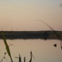 ���� ������, ������, 58 ��� - ��������� 17 ������� 2014 � ������ ���� �����