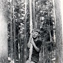 ���� ����, ��������, 44 ���� - ��������� 27 �������� 2014