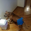 ���� ������, ���� - ��������� 6 ������� 2014 � ������ ������ ��������