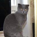 ���� ���������, ������� - ��������� 30 ������� 2014 � ������ �����ܨ �Ψ�