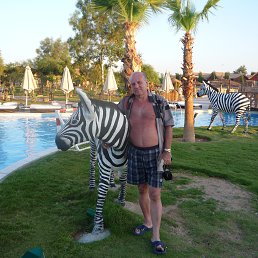 �������, ������, 68 ���