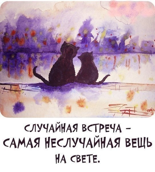   ,  ©  - 13  2014  18:42