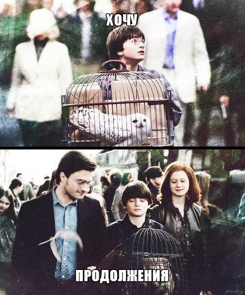    :D - 22  2014  05:50