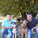 ���� �������, ������� - ��������� 19 ������ 2014 � ������ ���� ����������