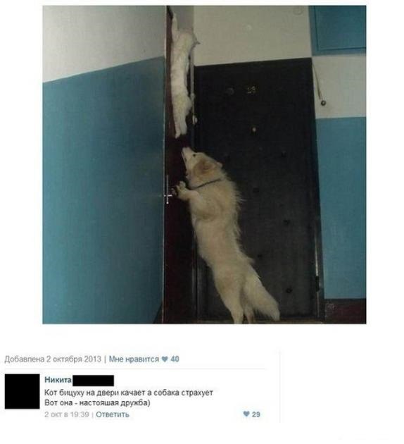     <a href=