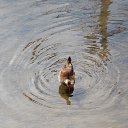 �������� 2014. ��������. � ��� ������) �� ������� ������� ��������)))�