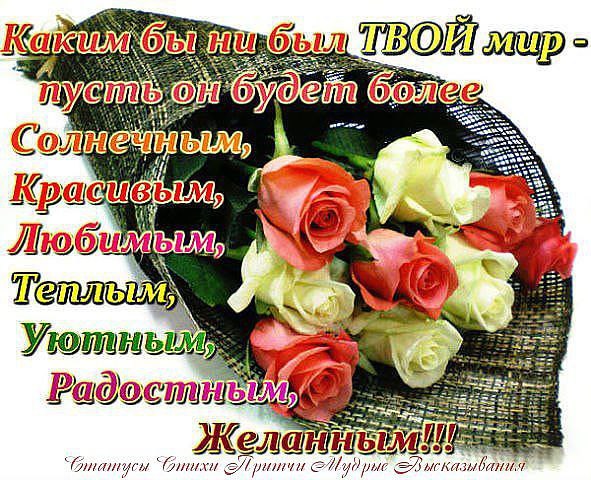 Шикарной женщины.Неуловимый взгляд.В нём страсти сказочной Синеет водопад.Движенья нежные, Но в них ...
