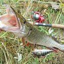 ���� ������, ������, 58 ��� - ��������� 17 ������� 2014 � ������ ��� ����ɻ