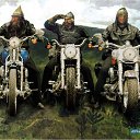  Stranger, , 63  -  11  2014    