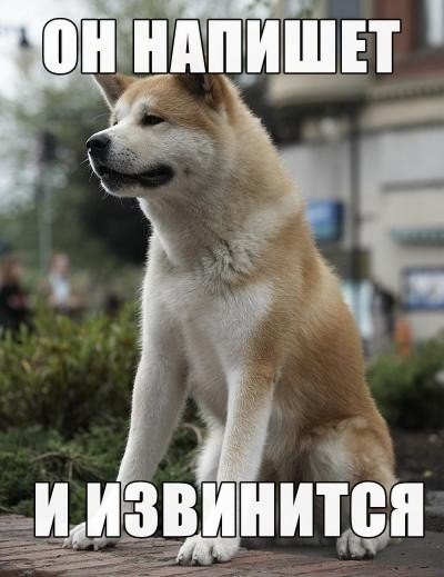 На экране телефона надпись подождите. Подождите напишу. Подождите напишу. На экране телефона надпись подождите. Фотография загружается.