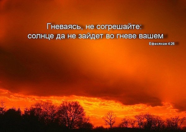 ������� ������������ ���������� - 23 ������� 2014 � 15:51