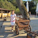 ������������ ������ 2014