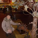 ���� �������, ������ - ��������� 20 ������� 2014 � ������ ���� ����������