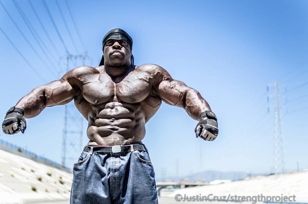 KALI MUSCLE. ))109   - 6