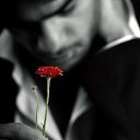 ���� ����, ������ - ��������� 8 ������� 2014 � ������ ���� ����������