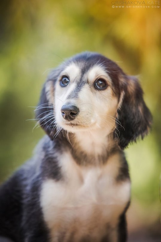 Говорят, что человек, который не умеет любить - не имеет души. В наше время верить в такое чувство, ...
