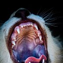 ���� �����, ��������� - ��������� 26 ������� 2014 � ������ ������ ��������