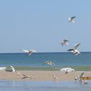 ���� ����, ����, 54 ���� - ��������� 2 �������� 2014 � ������ ��������� 2014�