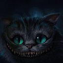 ���� �����, �����-���������, 24 ���� - ��������� 22 ������� 2014 � ������ ���� ����������