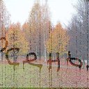 ���� Alexandr, ������, 72 ���� - ��������� 16 ������� 2014 � ������ �������� ����������