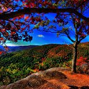 ���� ***���@ntik@***, ������� - ��������� 14 �������� 2014 � ������ ������ ��������