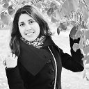 ���� �����, �����-���������, 42 ���� - ��������� 8 ������� 2014 � ������ ���� ����������