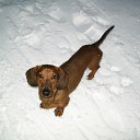 ����� ������ ������
 �� ������� ���� ���� ������