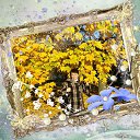 ���� ������, ������ - ��������� 3 ������� 2014 � ������ ���� ����������