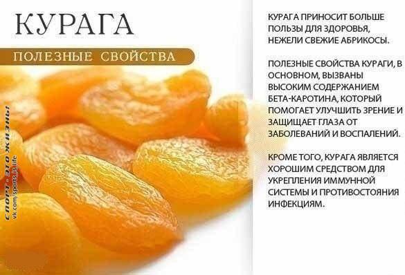 ������ �������. ������� �� �����, ����� �� ��������! ��� ������ � ������� ... - 3