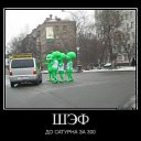 ���� ����, ���, 54 ���� - ��������� 18 �������� 2014 � ������ ������ ��������
