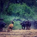 ���� ������, �������� - ��������� 28 ������� 2014 � ������ ������ ��������