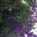 ���� �� ������� ���� ����������