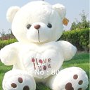 ���� ������, ������, 33 ���� - ��������� 8 ������� 2014 � ������ ���� ����������