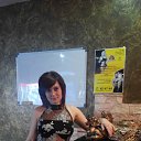 ���� ��������, ���������, 37 ��� - ��������� 14 �������� 2014