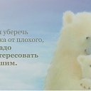���� �����, �����-��������� - ��������� 23 ������ 2014 � ������ ������ ��������