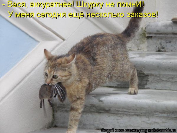 Marina - 13 ������ 2014 � 07:45
