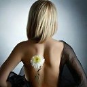 ���� ���, ������ - ��������� 11 ������� 2014 � ������ ���� ����������