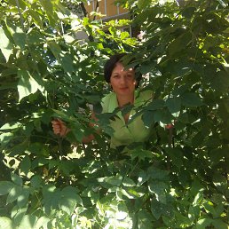 ���� �������, ������, 50 ��� - ��������� 12 ������ 2014