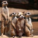 ���� �����, �������, 67 ��� - ��������� 13 �������� 2014